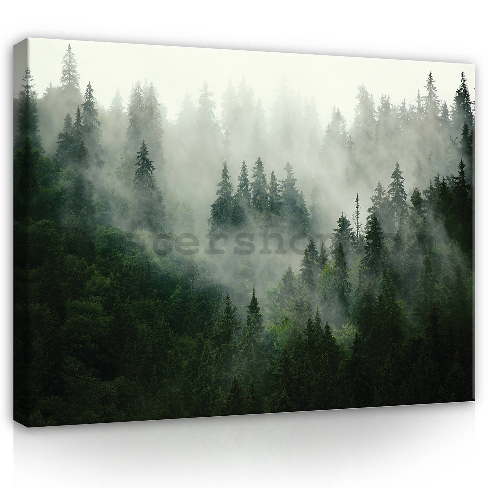 Obraz na plátně: Mlha nad lesem (1) - 100x75 cm