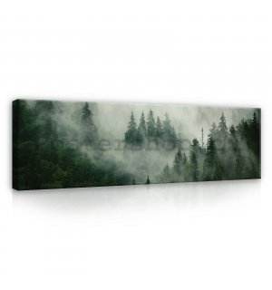 Obraz na plátně: Mlha nad lesem (1) - 145x45 cm