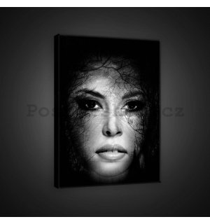 Obraz na plátně: Tajemná žena (1) - 60x80 cm