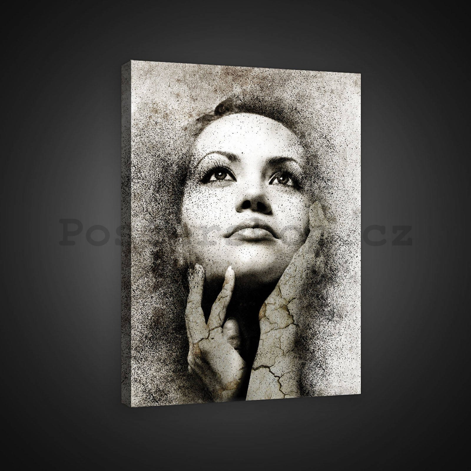 Obraz na plátně: Portrét ženy (1) - 60x80 cm
