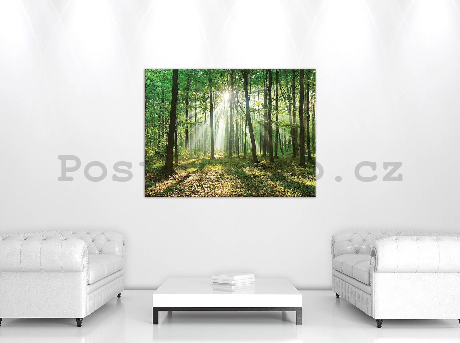 Obraz na plátně: Slunce v lese (3) - 80x60 cm