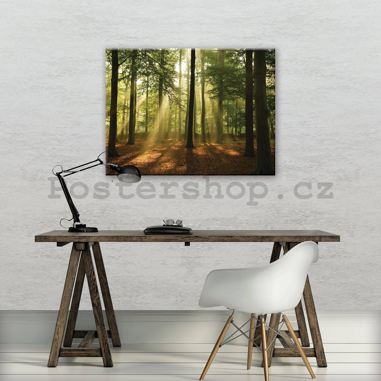 Obraz na plátně: Slunce v lese (4) - 80x60 cm
