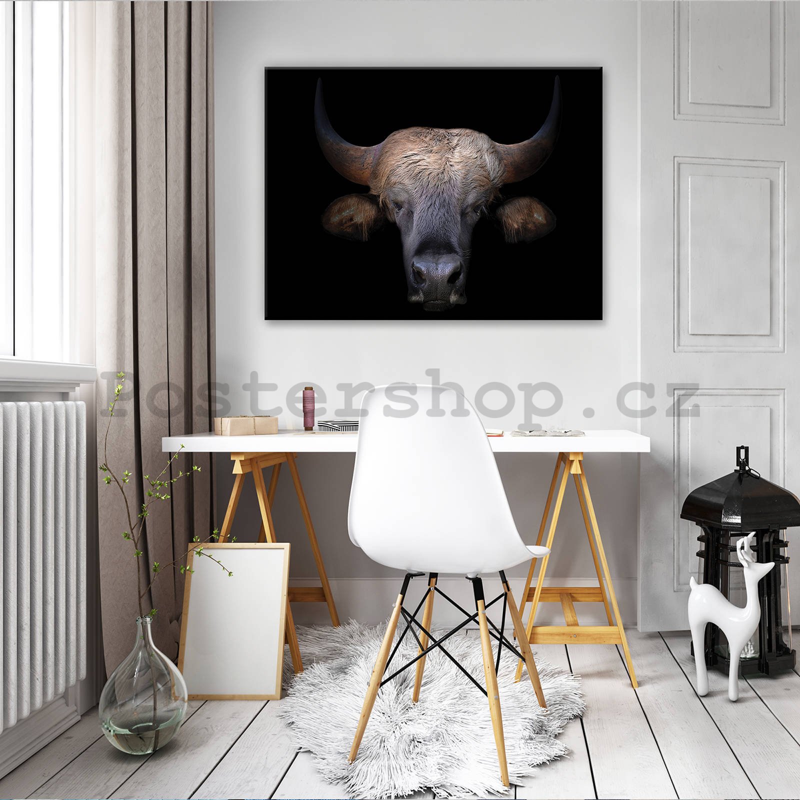 Obraz na plátně: Býk (1) - 80x60 cm