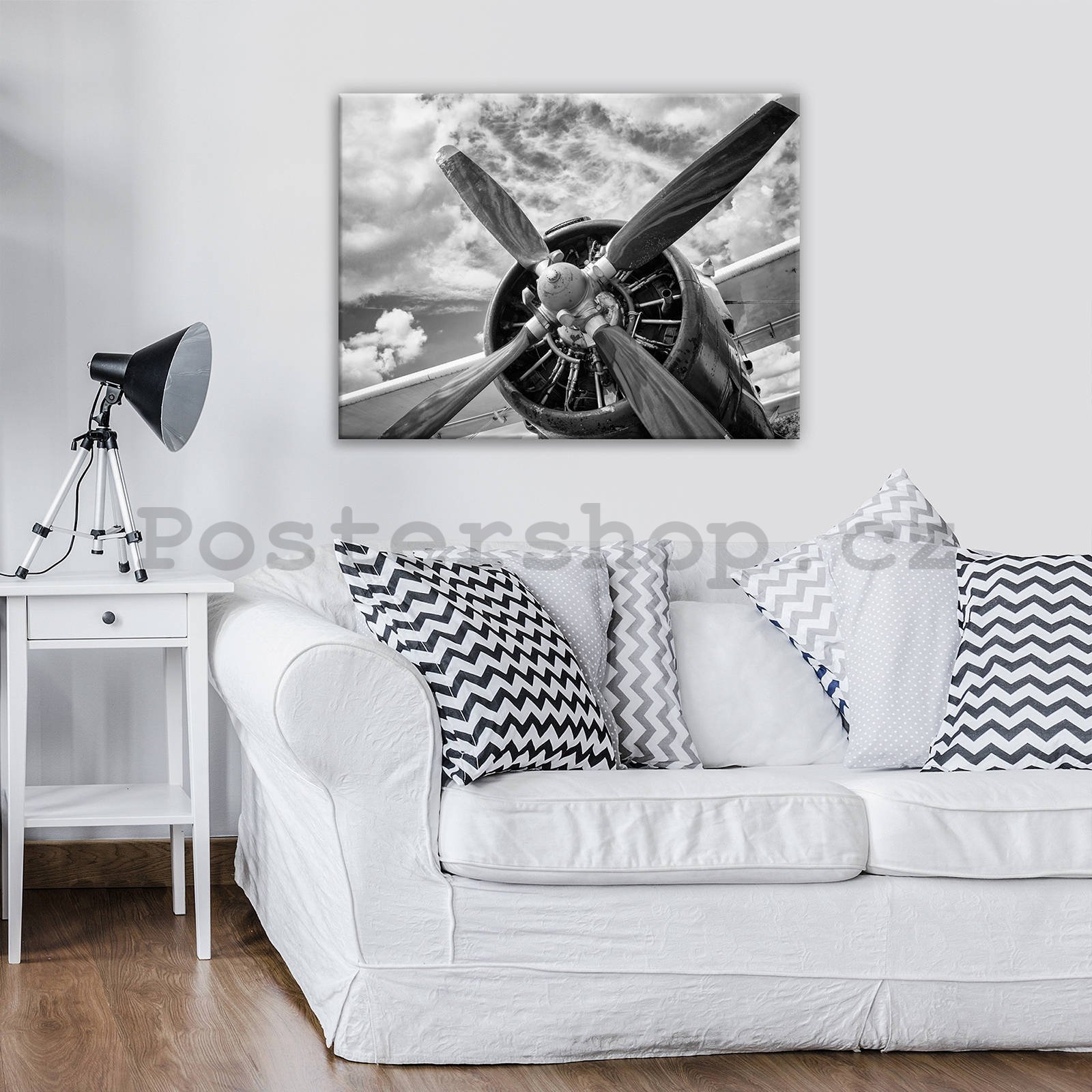 Obraz na plátně: Detail letadla - 80x60 cm