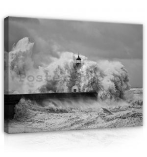 Obraz na plátně: Přívalová vlna (1) - 80x60 cm