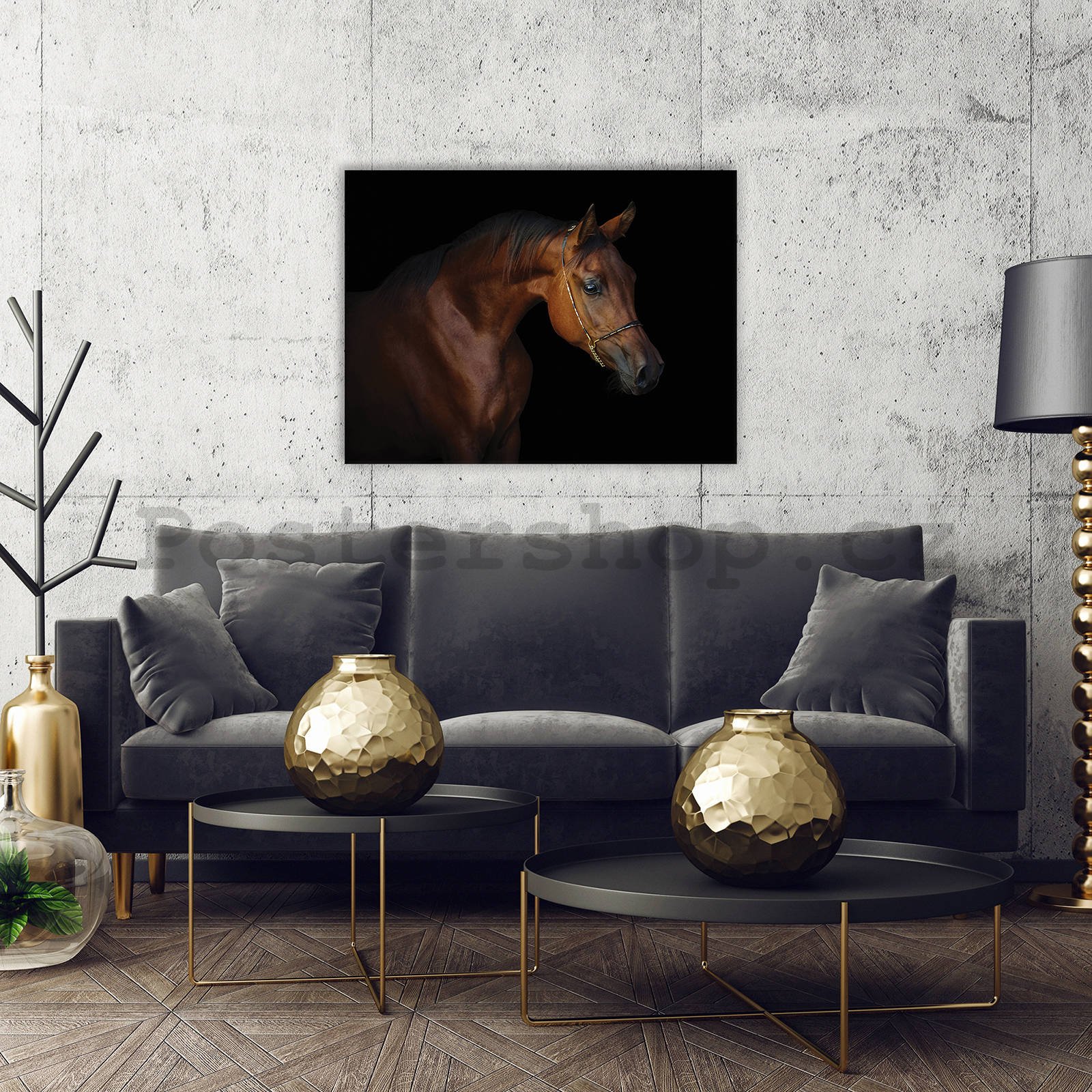 Obraz na plátně: Kůň (4) - 80x60 cm