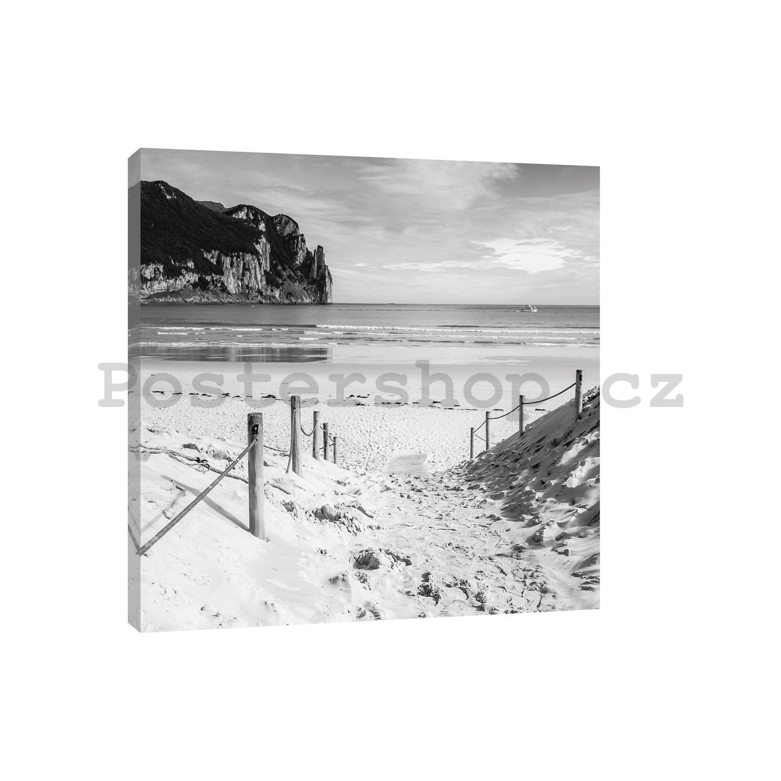 Obraz na plátně: Písčitá pláž (černobílá) - 80x60 cm
