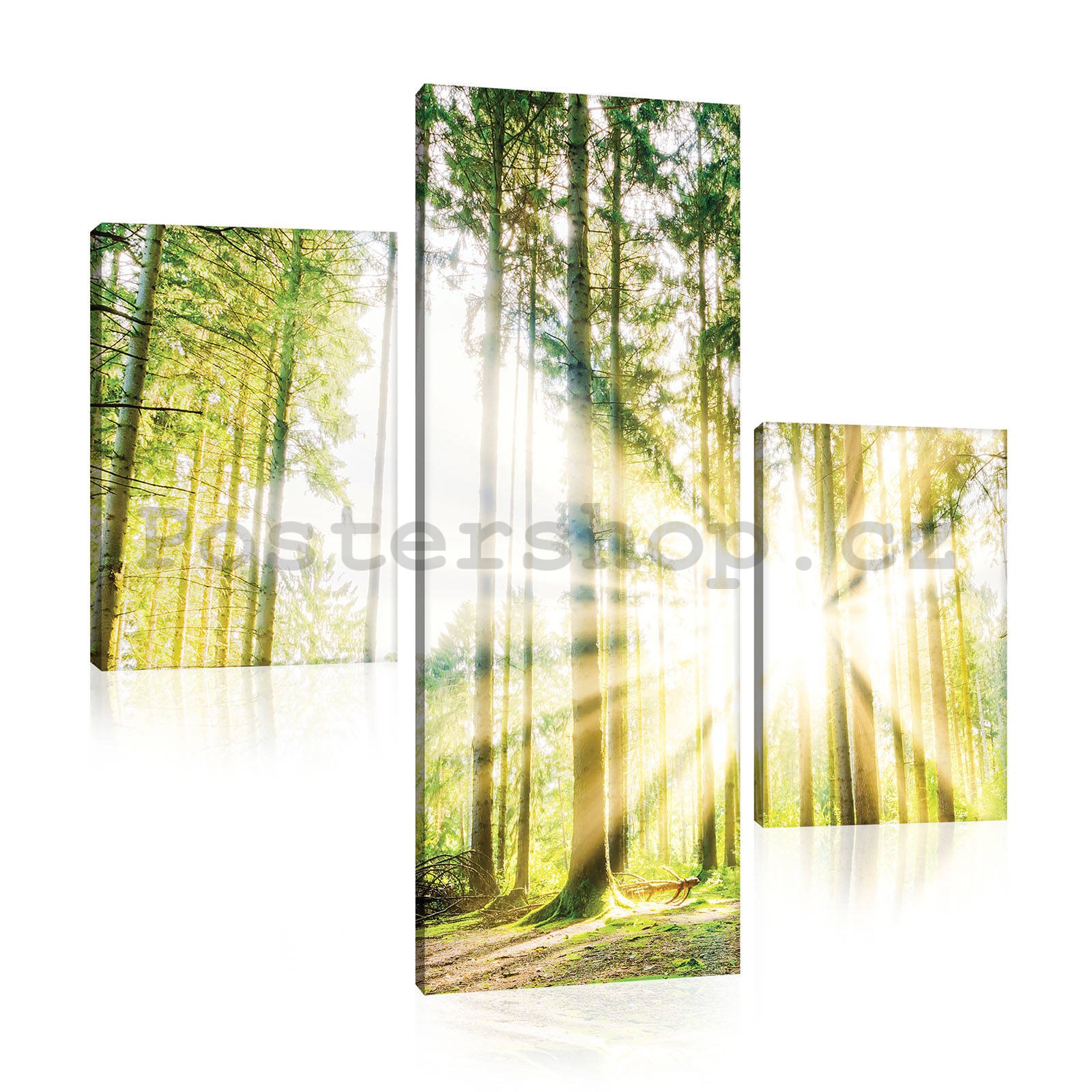 Obraz na plátně: Slunce v lese (2) - set 1ks 80x30 cm a 2ks 37,5x24,8 cm