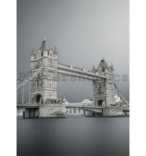 Fototapeta: Šedivý Tower Bridge - 184x254 cm