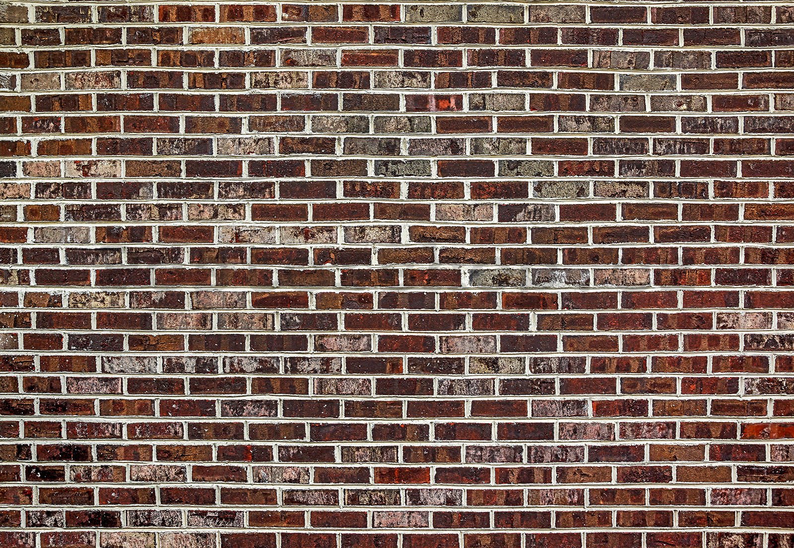 Fototapeta vliesová: Cihlová zeď (6) - 254x368 cm