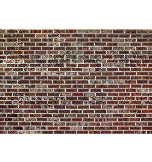 Fototapeta vliesová: Cihlová zeď (6) - 254x368 cm