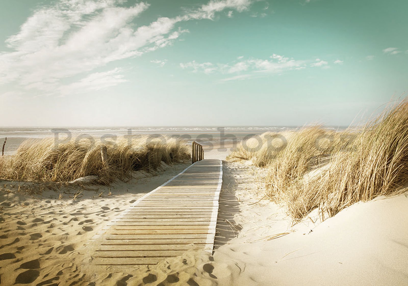 Fototapeta vliesová: Cesta na pláž (8) - 152,5x104 cm