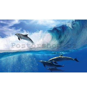 Fototapeta vliesová: Delfíni - 416x254 cm