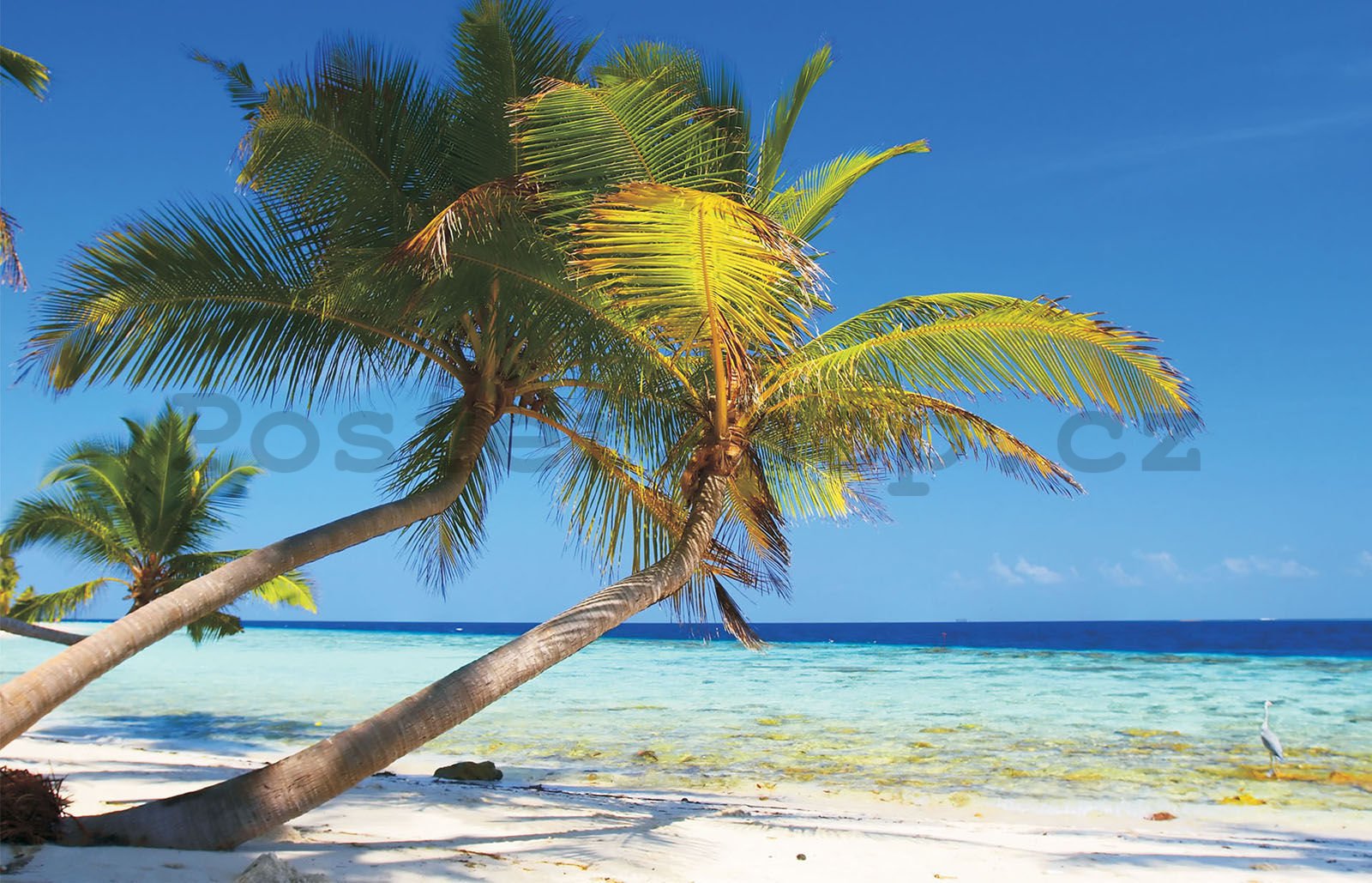 Fototapeta vliesová: Pláž s palmou - 104x70,5 cm