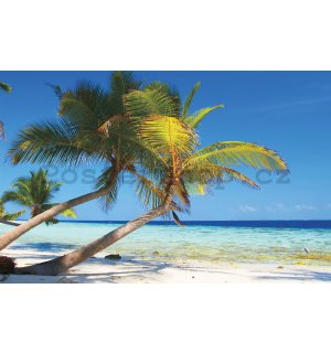 Fototapeta vliesová: Pláž s palmou - 104x70,5 cm