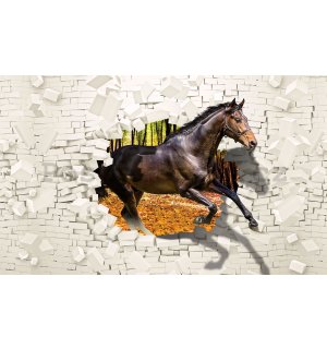 Fototapeta vliesová: Kůň ze zdi - 104x70,5cm
