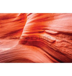 Fototapeta vliesová: Wave Rock Arizona - 400x280 cm