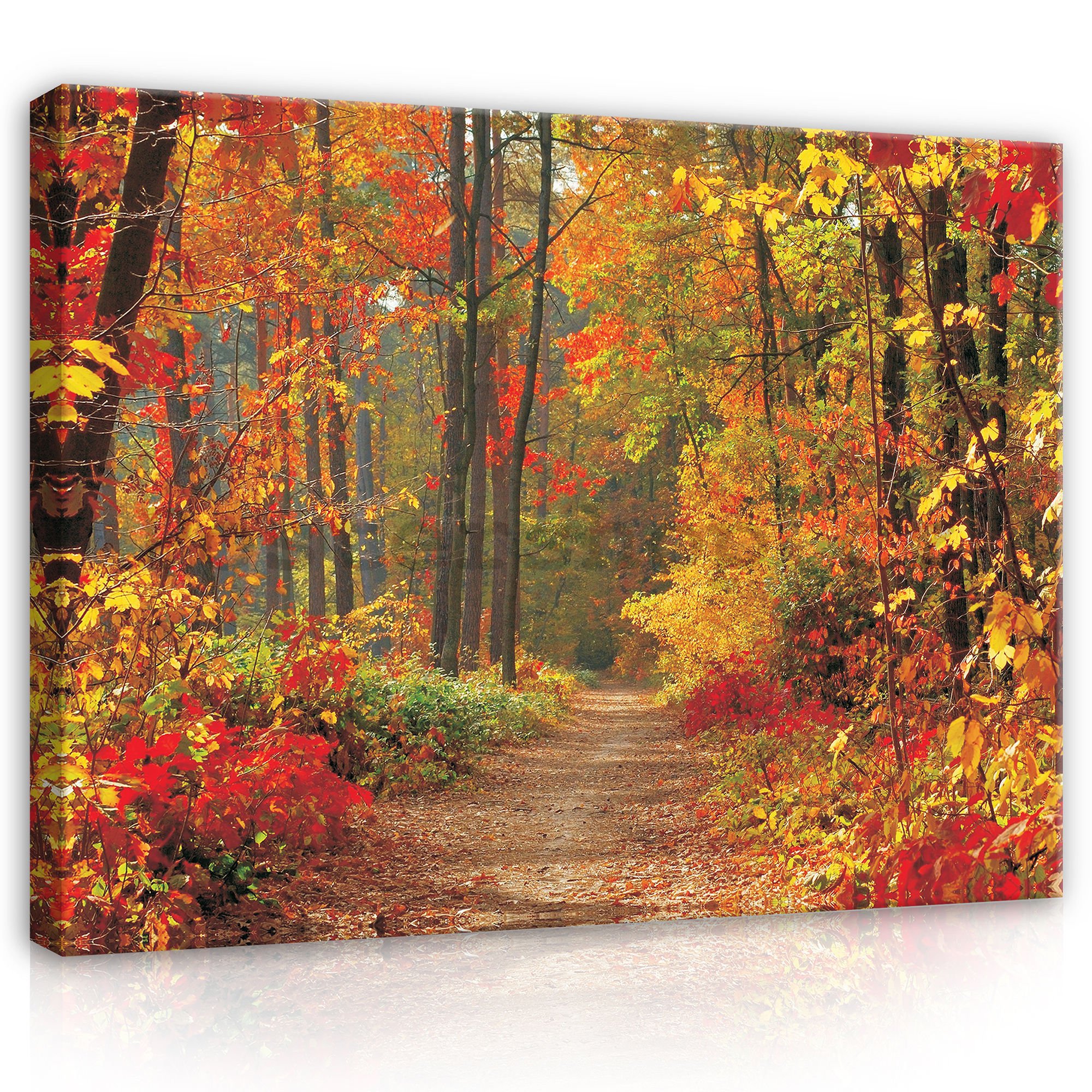 Obraz na plátně: Podzimní les - 80x60 cm