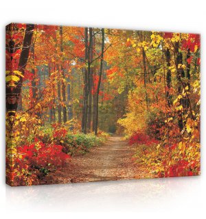 Obraz na plátně: Podzimní les - 80x60 cm