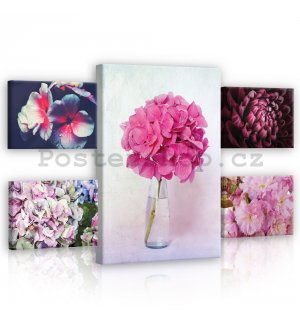 Obraz na plátně: Růžové květiny - set 1ks 70x50 cm a 4ks 32,4x22,8 cm