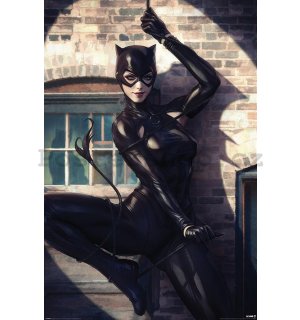 Plakát - Catwoman (Spot Light)