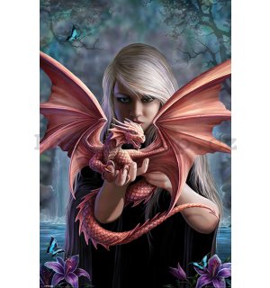 Plakát - Anne Stokes, Dragonkin