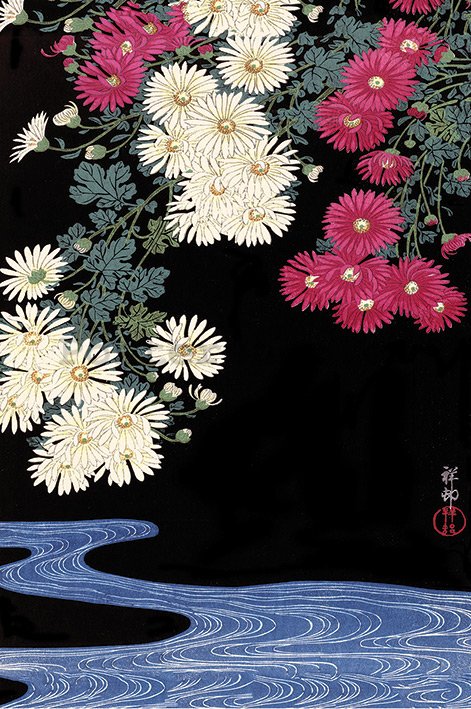 Plakát - Ohara Koson, Chrysanthemum And Running Water
