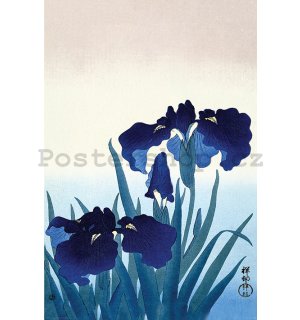 Plakát - Ohara Koson, Iris Flowers