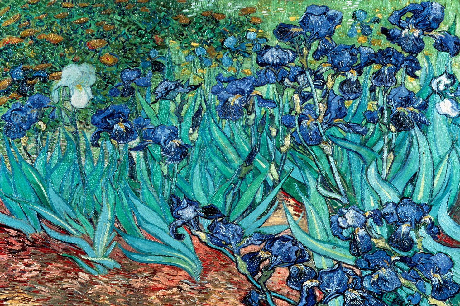 Plakát - Van Gogh (Les Irises)