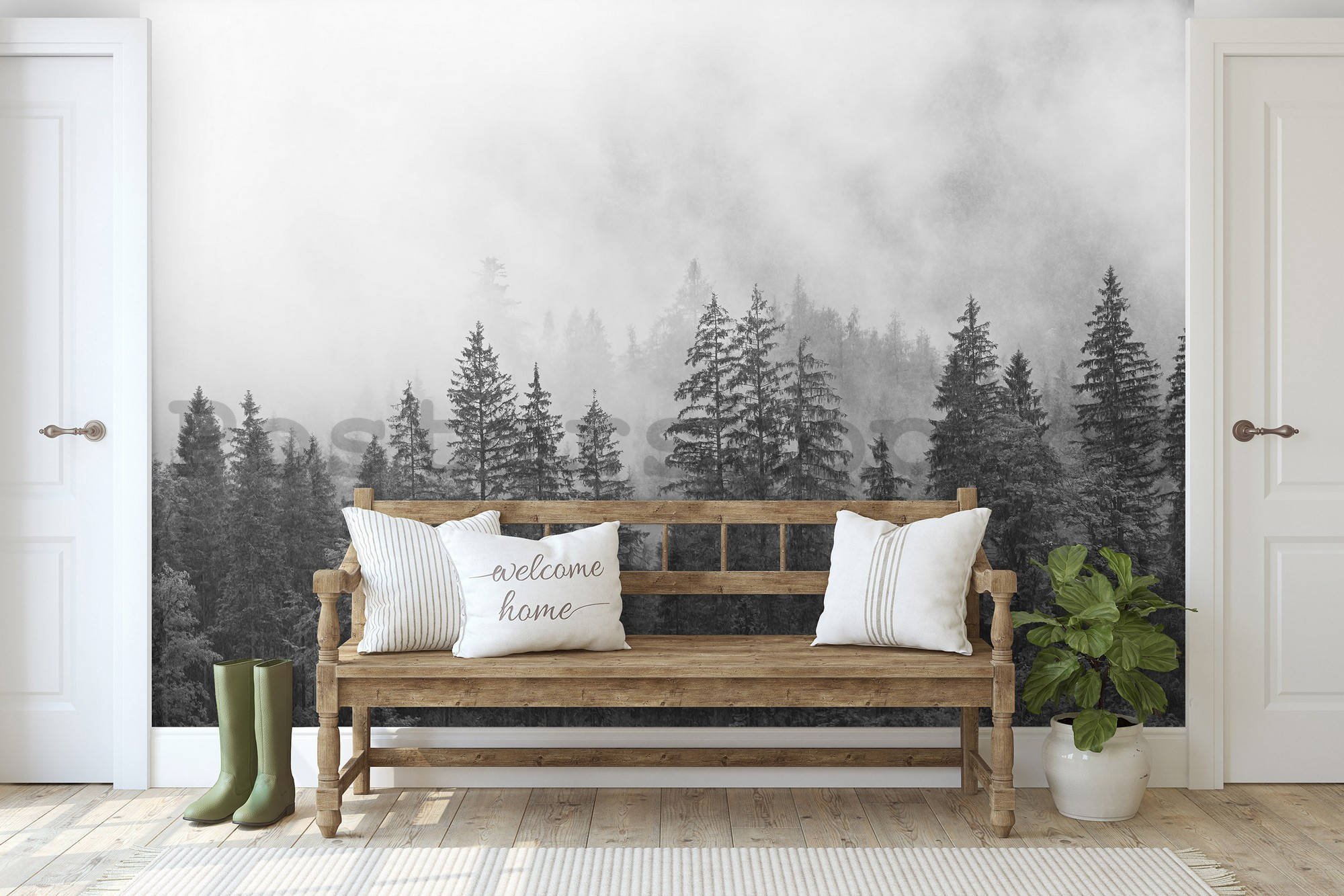 Fototapeta vliesová: Mlha nad černobílým lesem - 254x184 cm