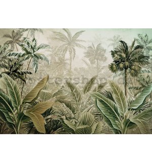 Fototapeta vliesová: Tropická vegetace - 254x184 cm