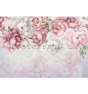 Fototapeta vliesová: Bílé a růžové růže - 254x184 cm