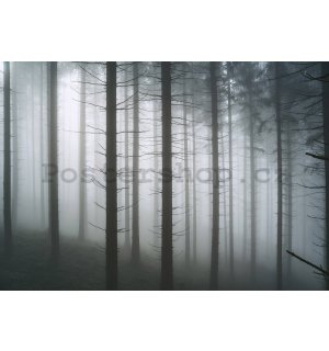 Fototapeta vliesová: Strašidelný les (1) - 368x254 cm