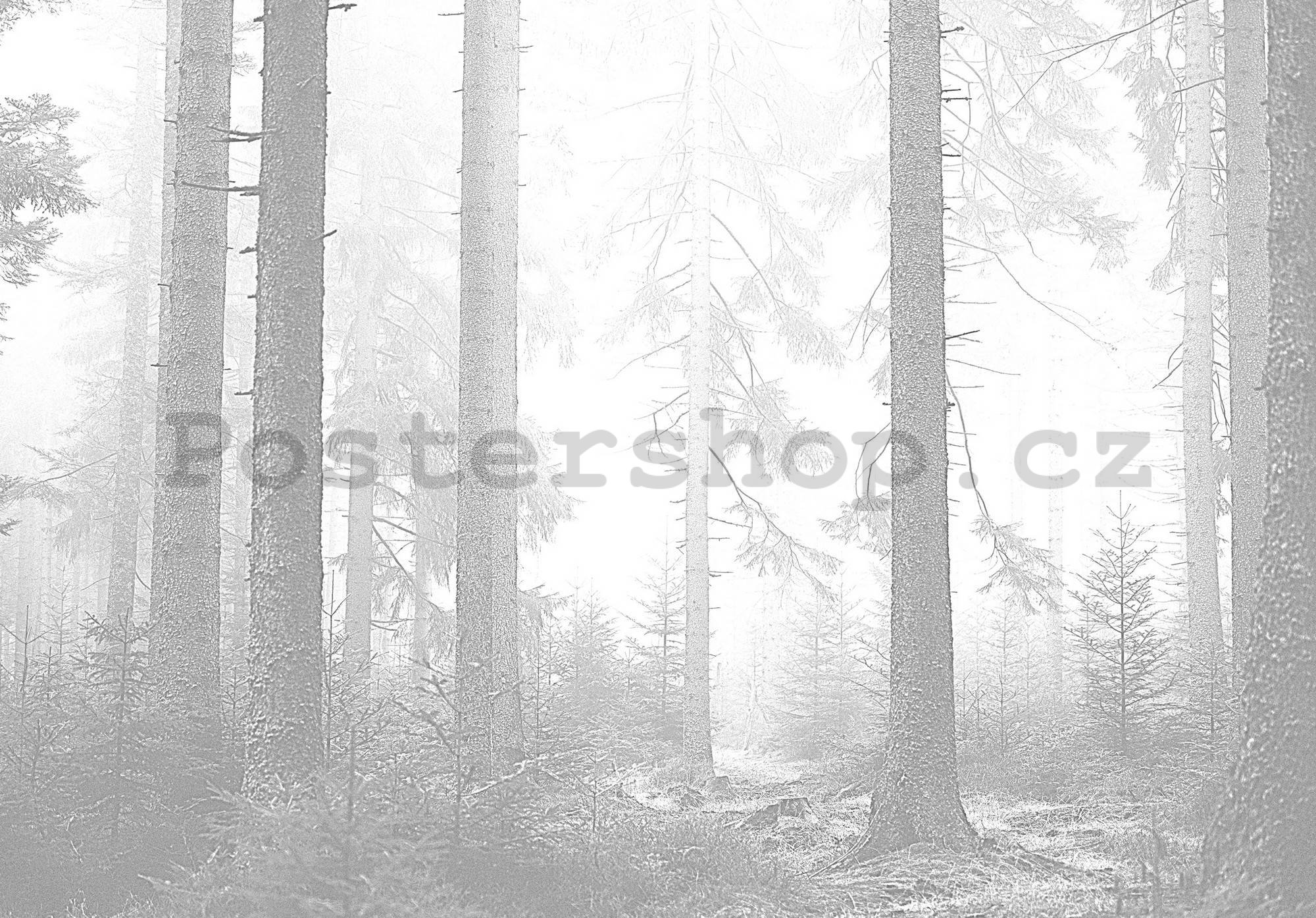 Fototapeta vliesová: Černobílý les (3) - 104x70,5 cm