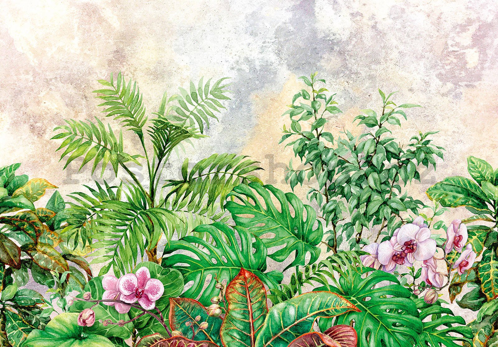 Fototapeta vliesová: Malované rostliny - 416x254 cm