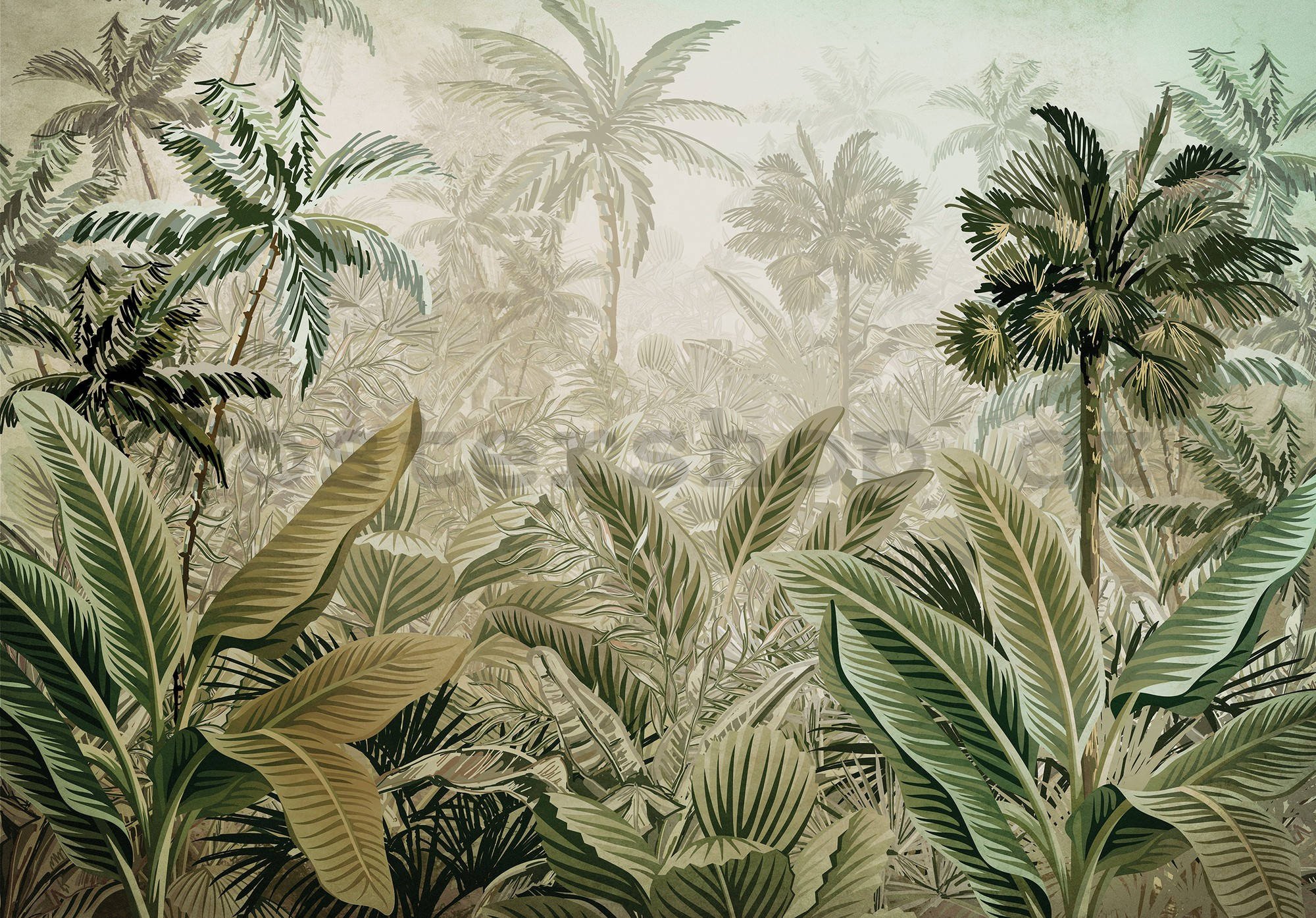 Fototapeta vliesová: Tropická vegetace - 416x254 cm