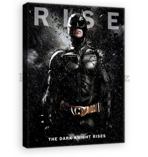 Obraz na plátně: The Dark Knight Rises - 75x100 cm