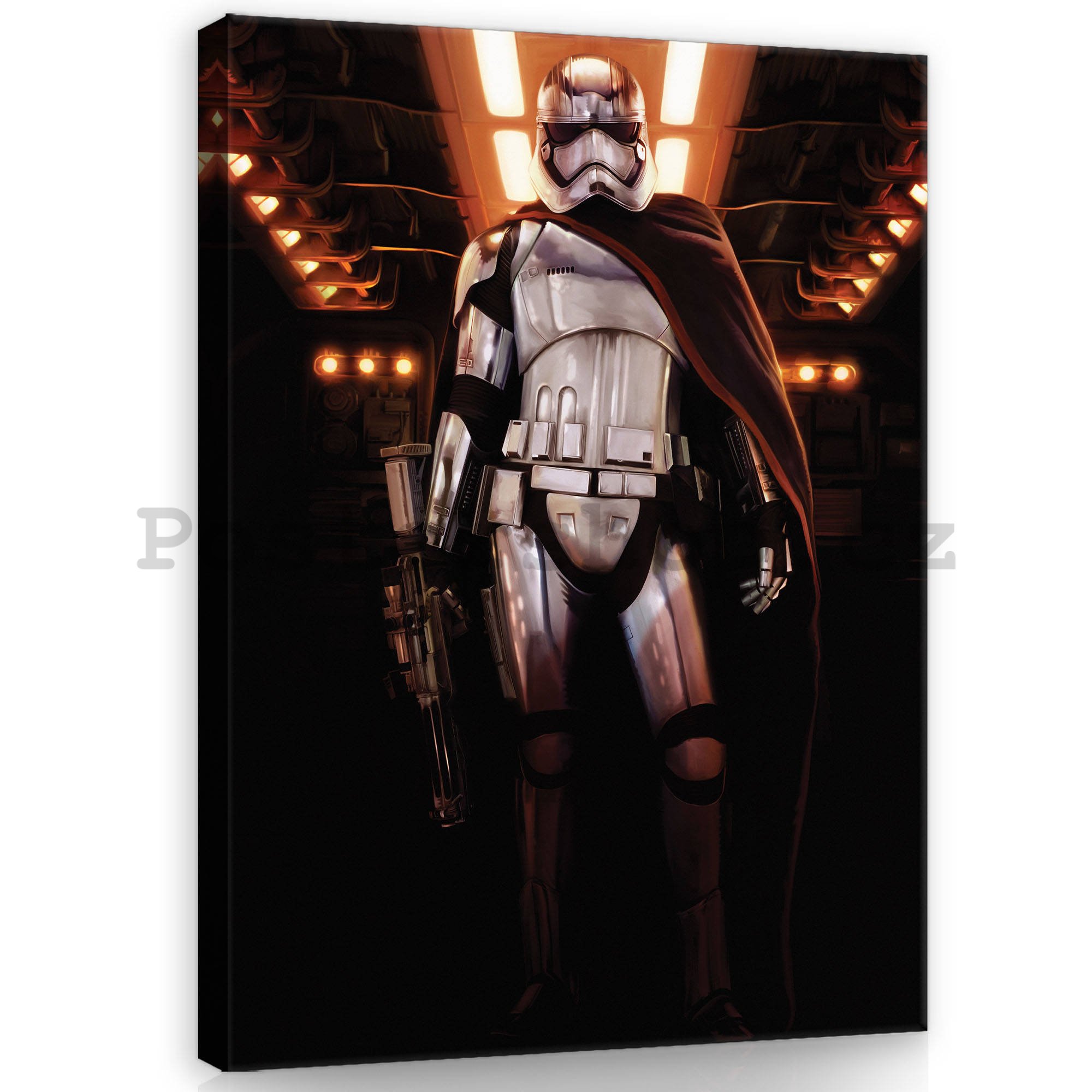 Obraz na plátně: Star Wars Captain Phasma (1) - 60x80 cm