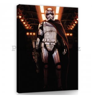 Obraz na plátně: Star Wars Captain Phasma (1) - 60x80 cm