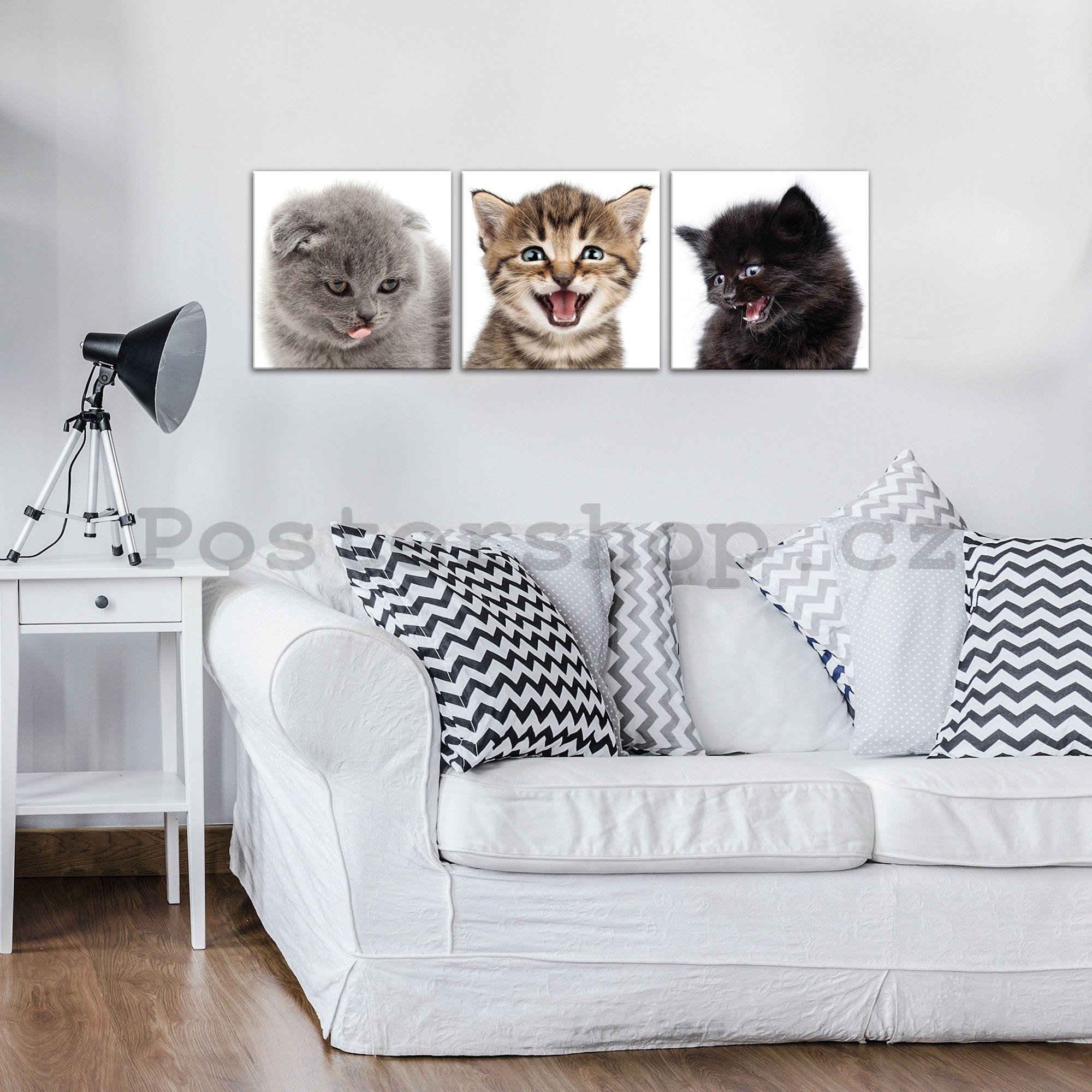 Obraz na plátně: Koťata (1) - set 3ks 25x25cm