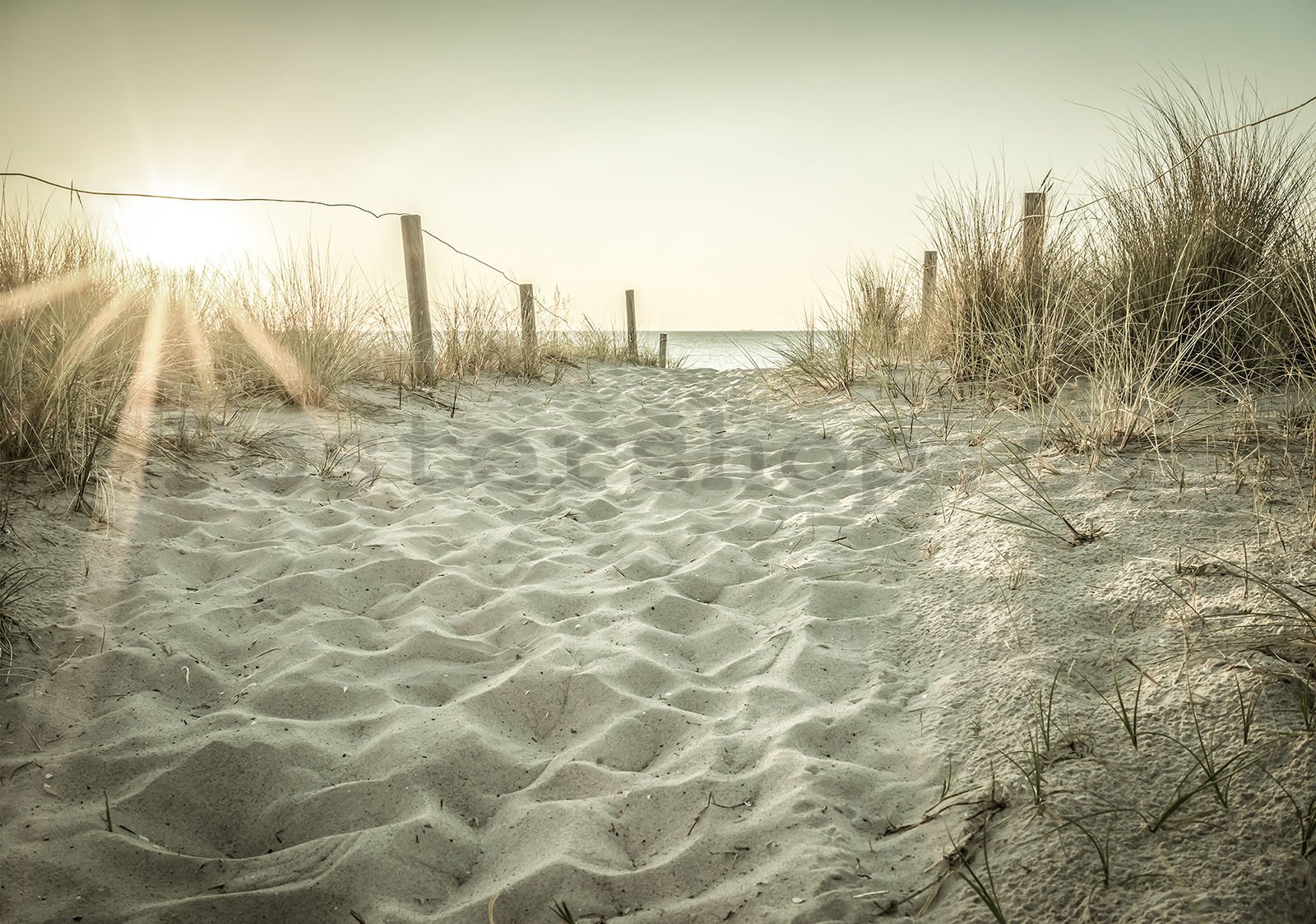 Fototapeta vliesová: Písečná pláž (3) - 104x70,5 cm