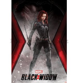 Plakát - Black Widow (Widowmaker Battle Stance)