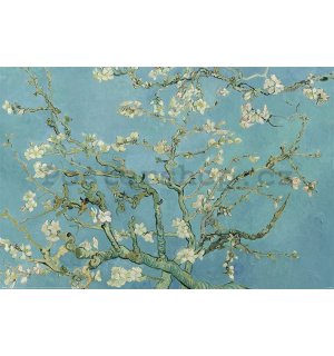 Plakát - Van Gogh, Mandlové květy