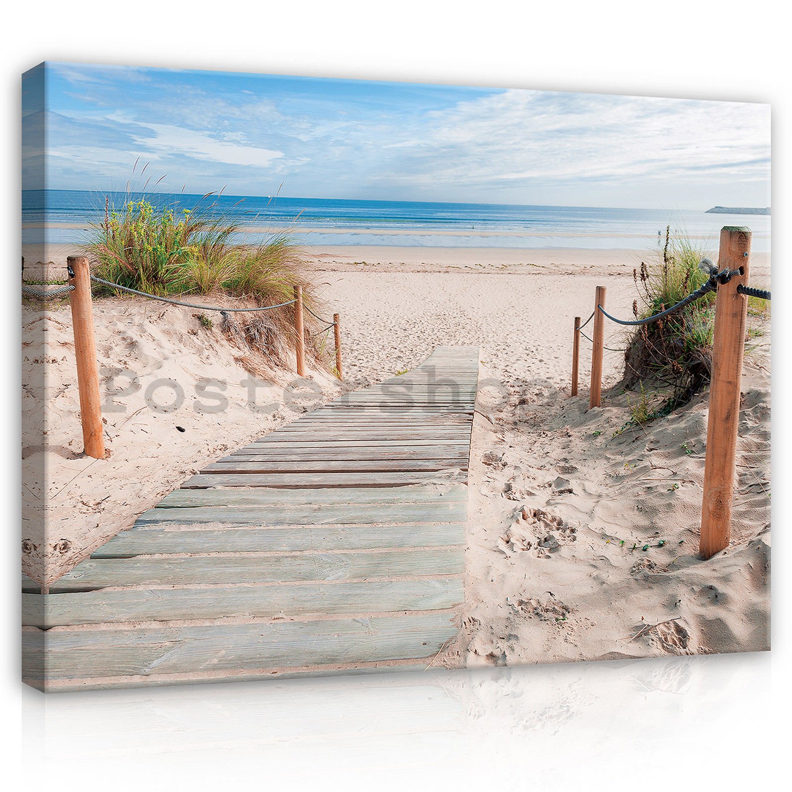 Obraz na plátně: Pláž (3) - 80x60 cm