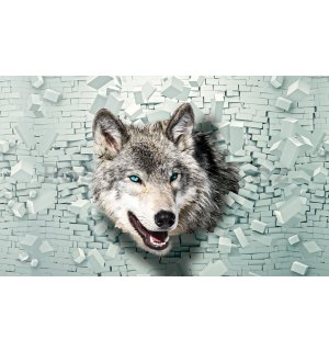 Fototapeta: Vlk a zeď - 254x184 cm