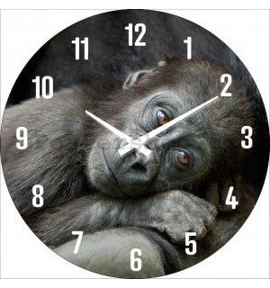 Nástěnné skleněné hodiny: Gorilí mládě - 30 cm
