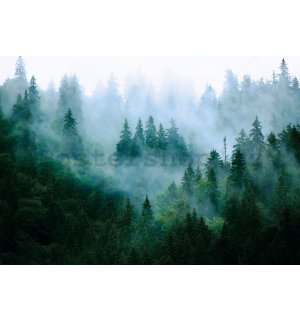 Fototapeta vliesová: Mlha nad lesem (3) - 254x184 cm