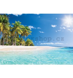 Fototapeta vliesová: Pláž v tropickém ráji - 368x254 cm