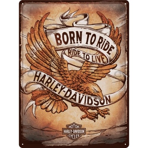 Plechová cedule: Harley-Davidson Born to Ride Ride to Live - 30x40 cm