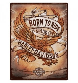 Plechová cedule: Harley-Davidson Born to Ride Ride to Live - 30x40 cm
